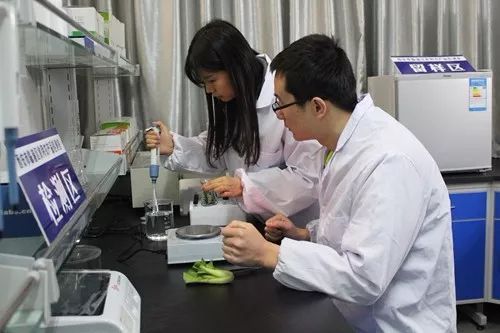 這一年，嚴字當頭 護航舌尖上的安全，食用農產品初加工