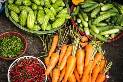 2020關鍵年 探索他國生態(tài)循環(huán)農(nóng)業(yè)模式，深化食用農(nóng)產(chǎn)品初加工發(fā)展