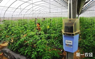 智慧農(nóng)業(yè)新藍圖 福建推進生產(chǎn)智能化 政策紅利助力產(chǎn)業(yè)升級