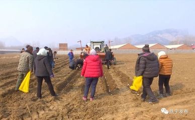 種地也能發財！撫寧人靠食用農產品初加工走穩致富路