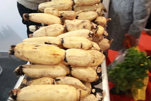 冬節大如年，團圓時節品珍饈——江蘇農民合作社農產品年度盛會收官在即