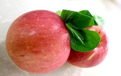 有機產品認證與食用農產品初加工 守護從田間到餐桌的健康承諾