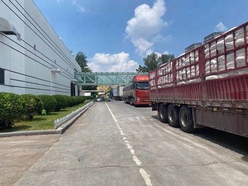 直擊河南汛情 鄭州放晴，兩大食品巨頭恢復生產，廠區門口運輸車輛排起長龍